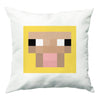 Sale Cushions