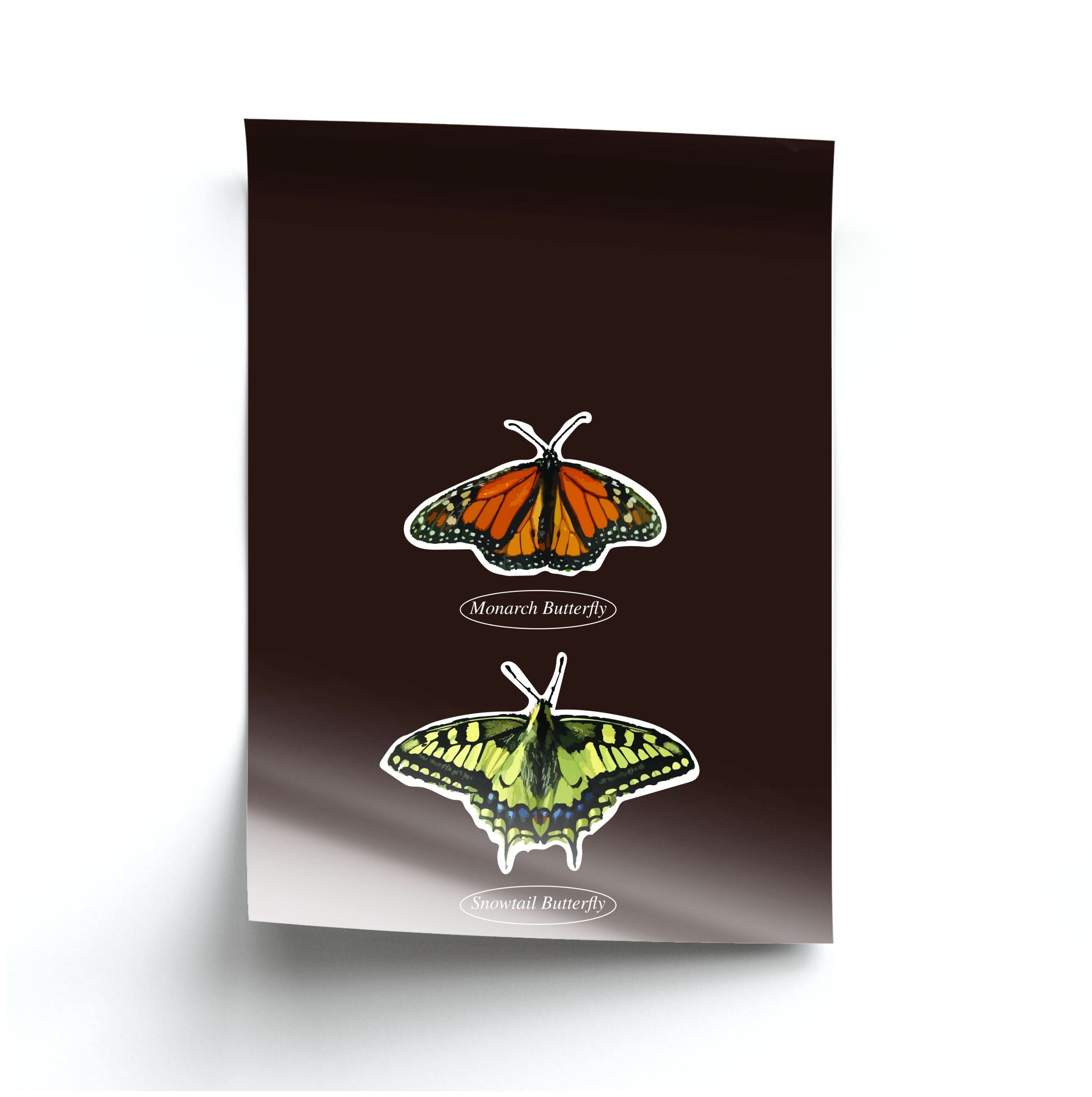 Butterfly Species Collage Poster