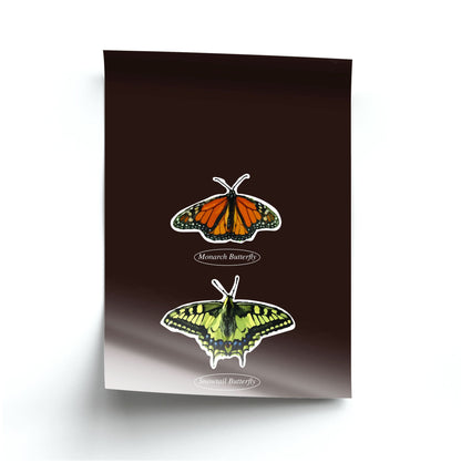 Butterfly Species Collage Poster