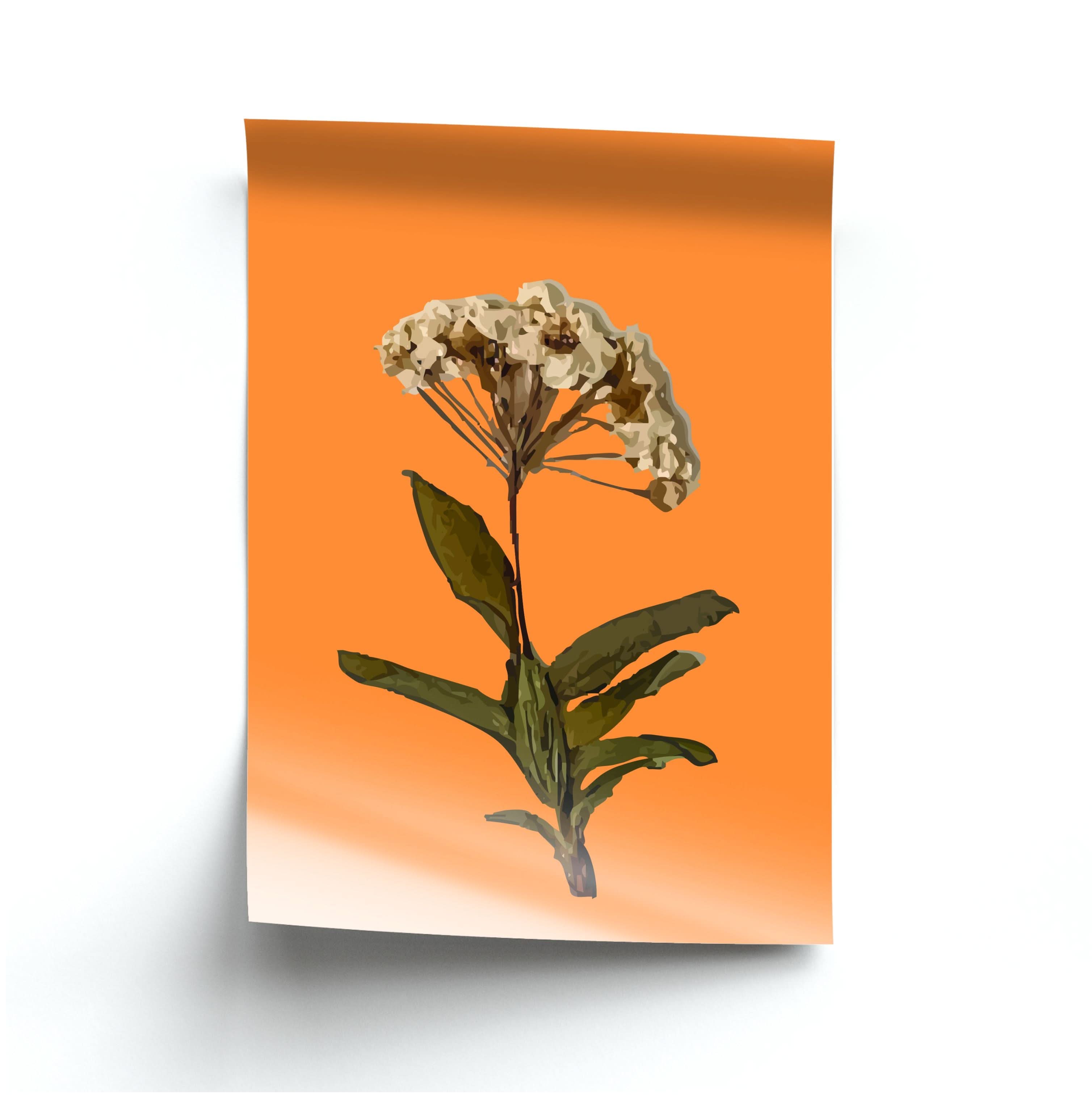 Bright Orange Pressed Flower Poster