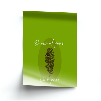 Grow At Your Own Pace Fern Poster