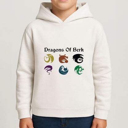Dragons Of Berk Boys Hoodie