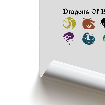Dragons Of Berk Poster