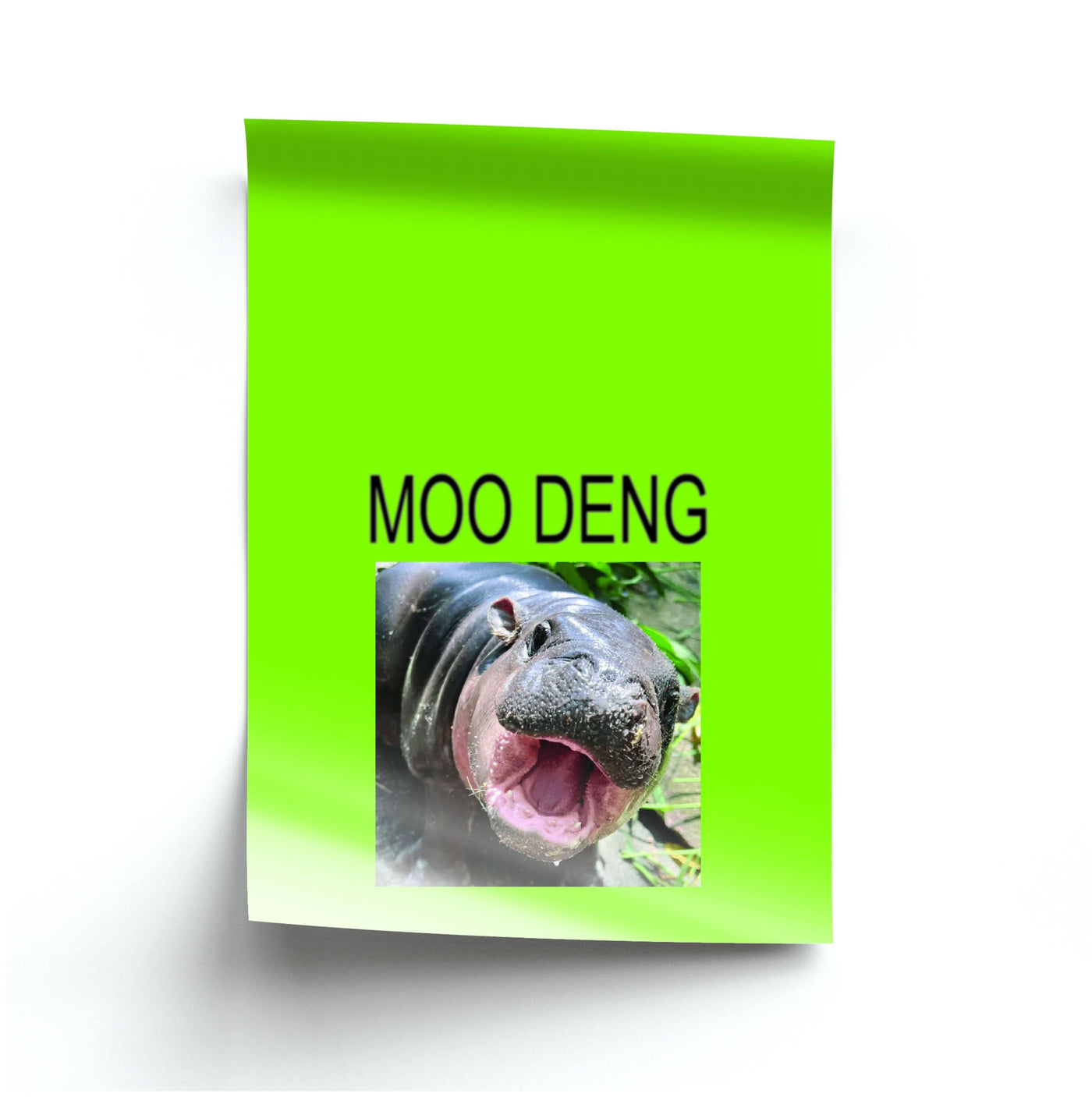 Moo Poster