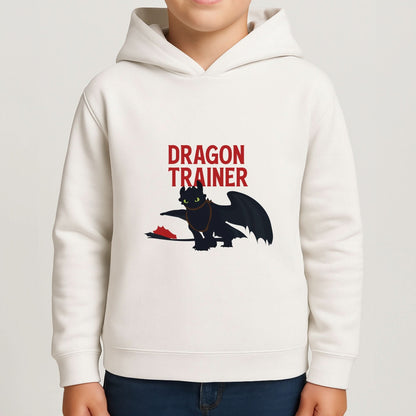 Dragon Trainer Boys Hoodie