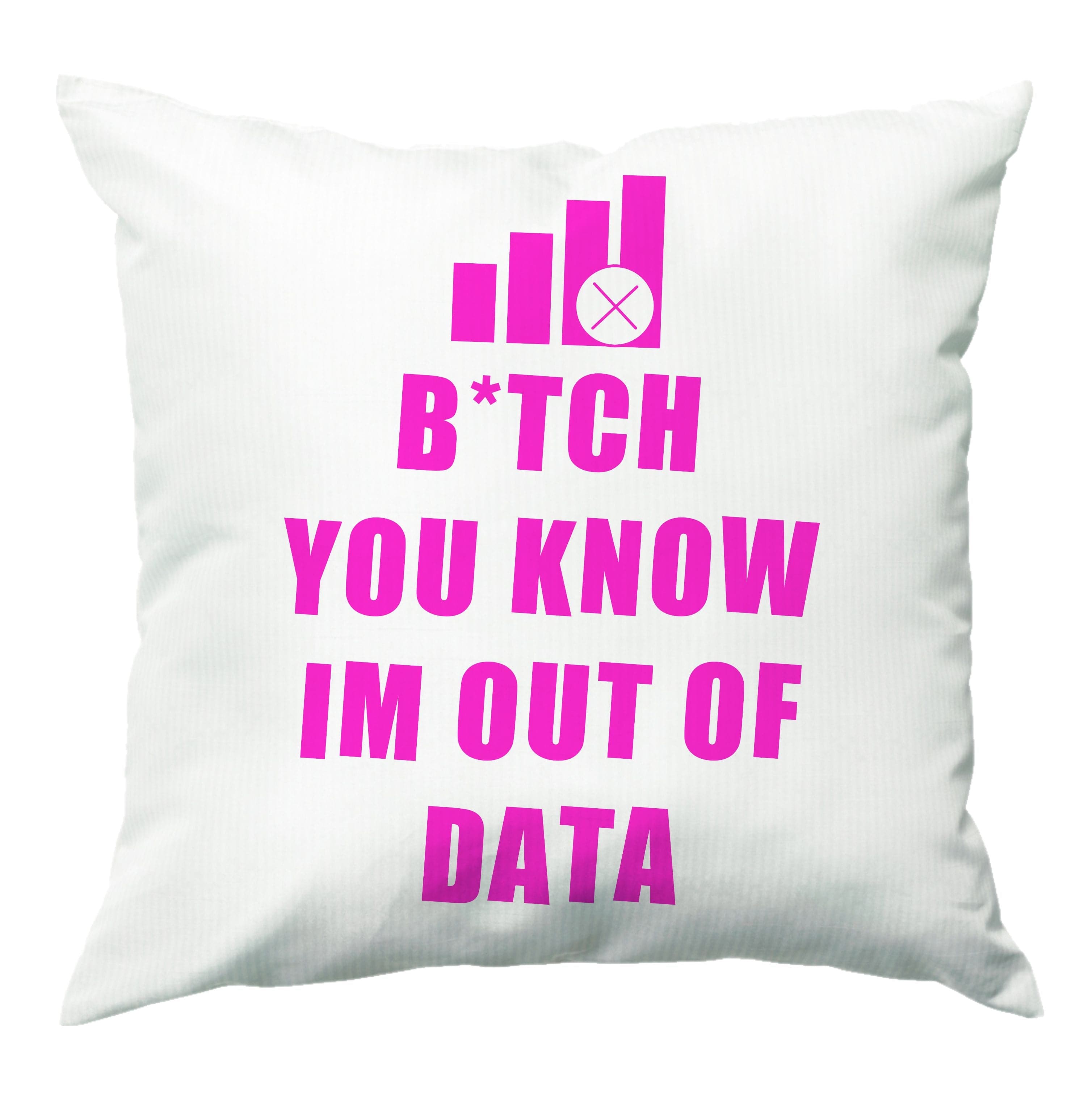 B*tch You Know Im Out Of Data - B99 Cushion