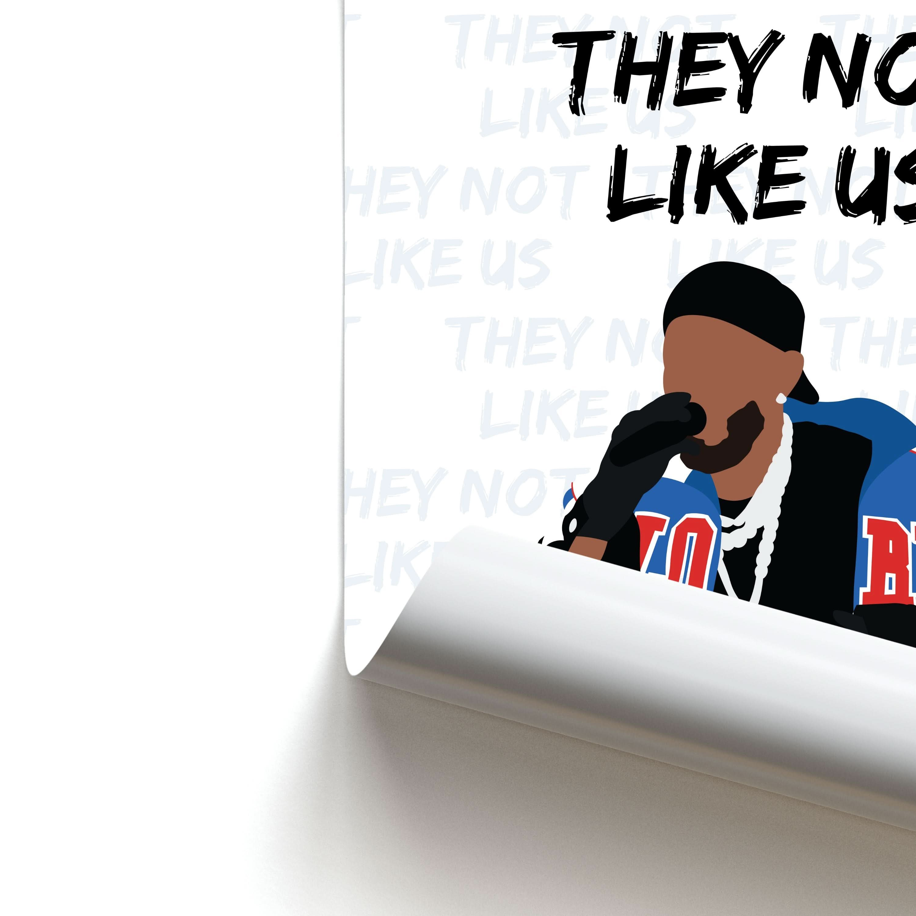 They Not Like Us Poster