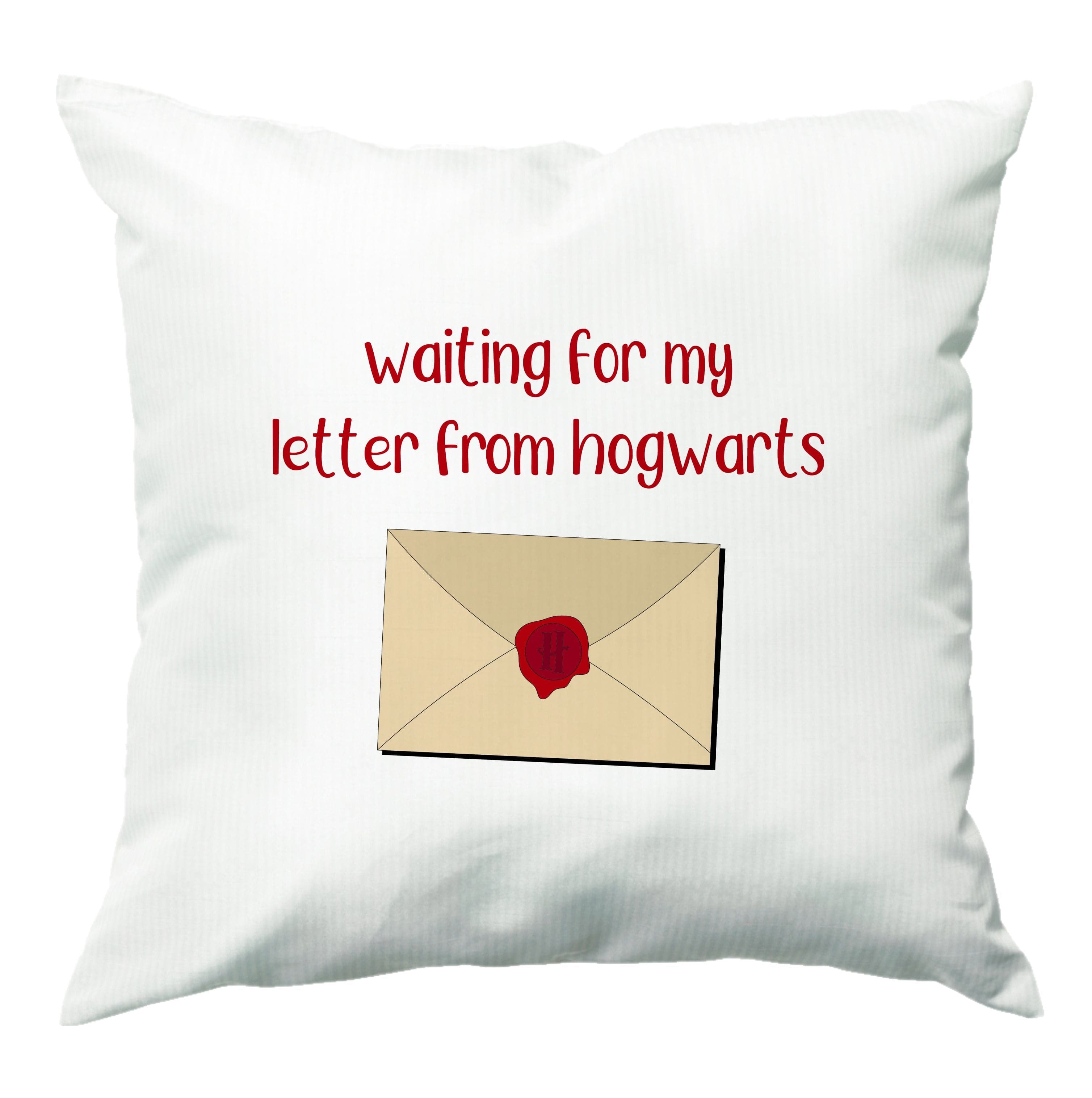 Waiting For My Letter Cushion