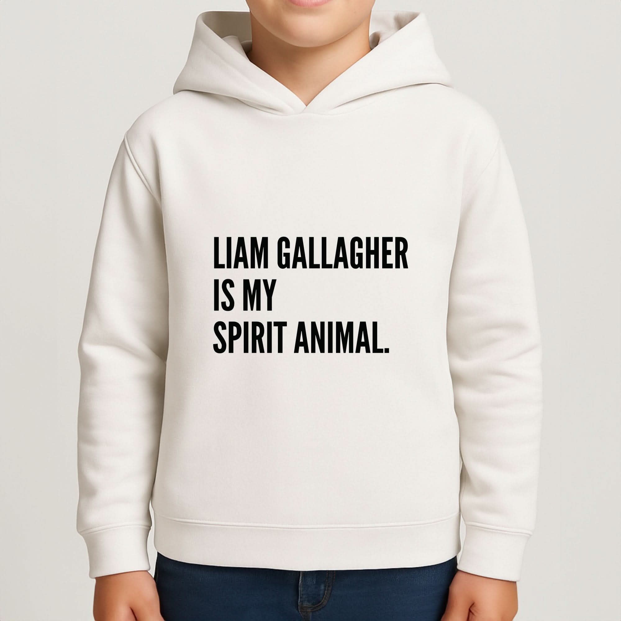 Liam Is My Spirit Animal Boys Hoodie