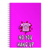 Scream Notebooks