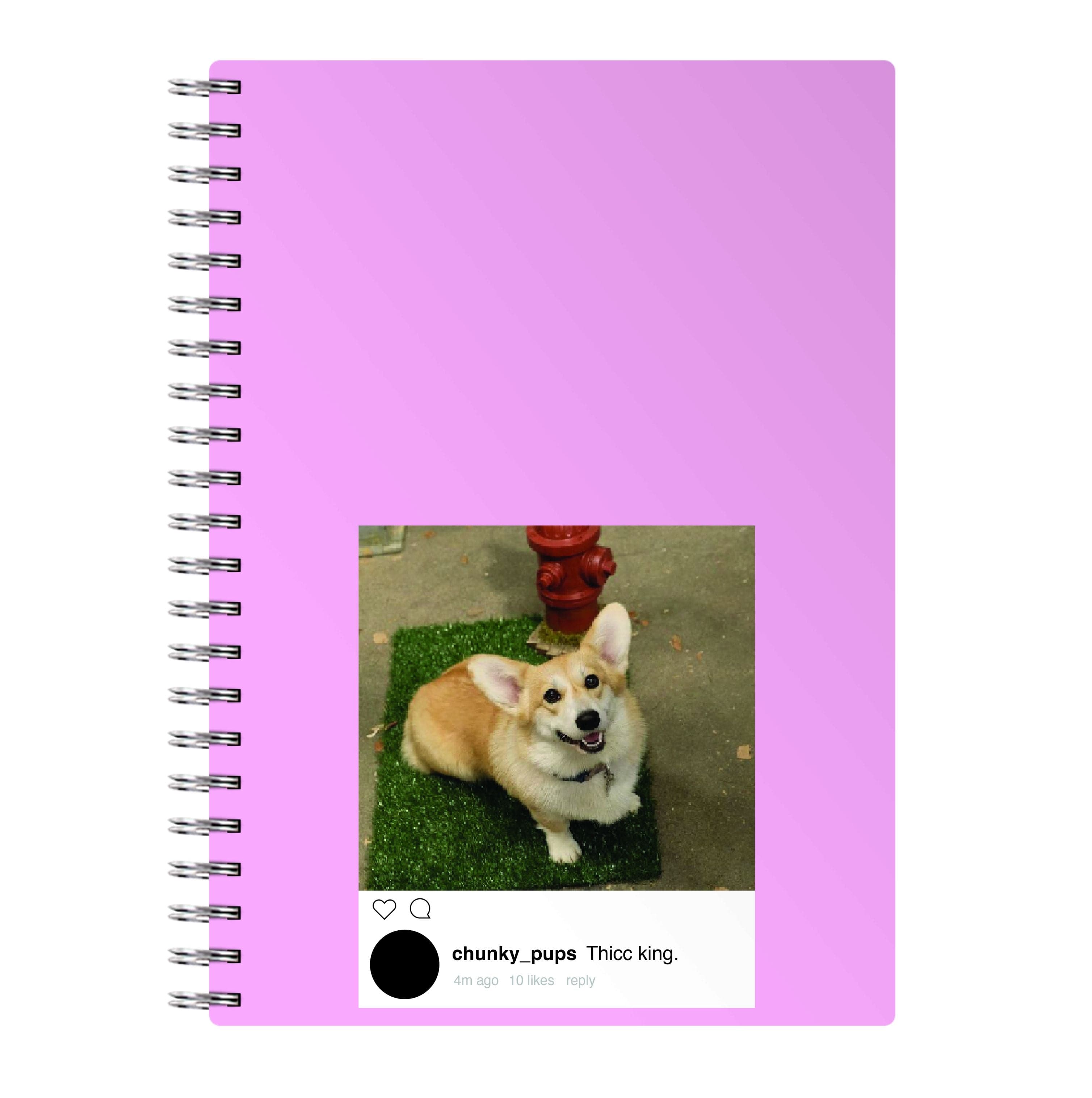 Thicc King - B99 Notebook