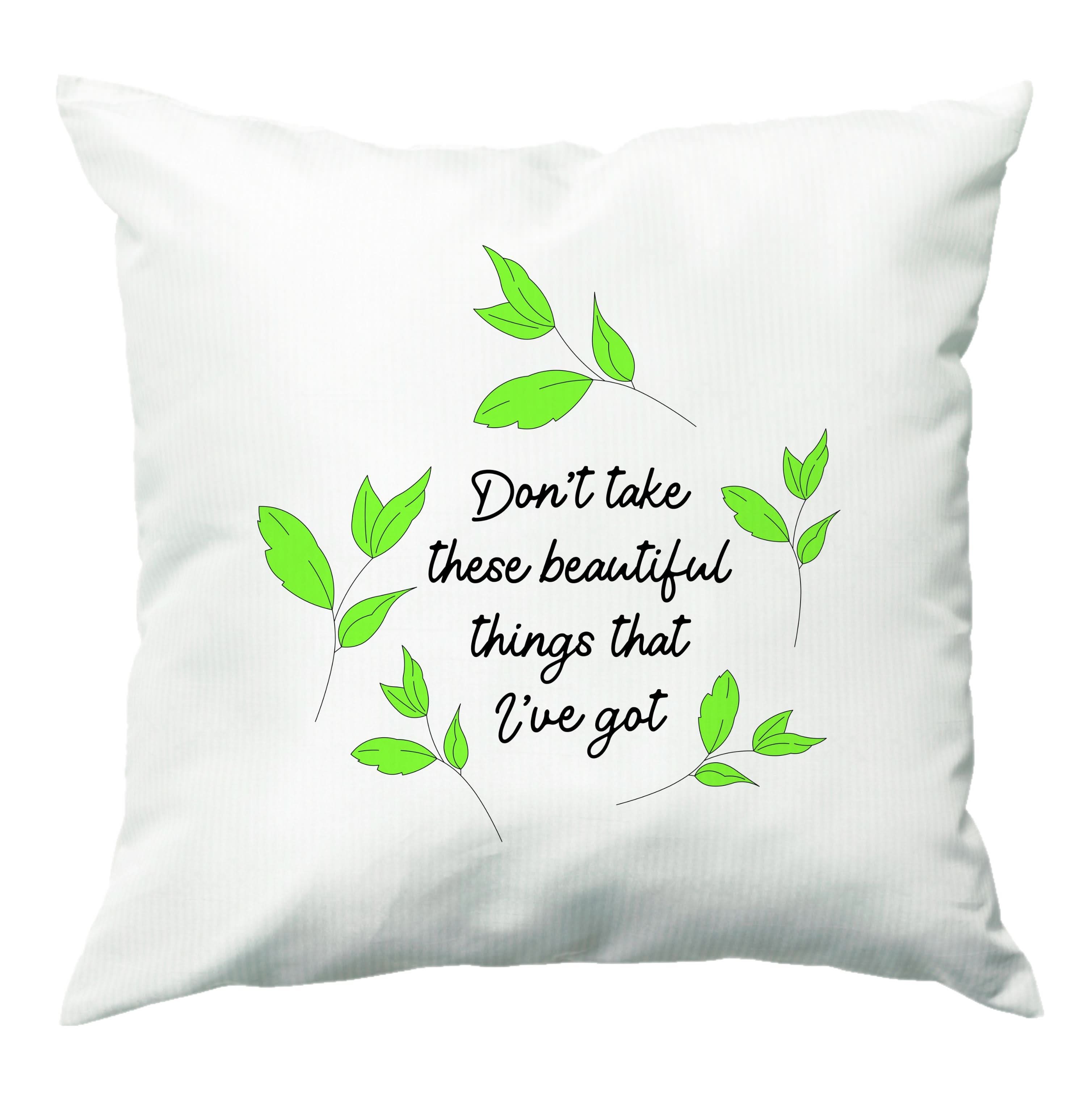 Don't Take These Beautiful Things That I've Got Cushion