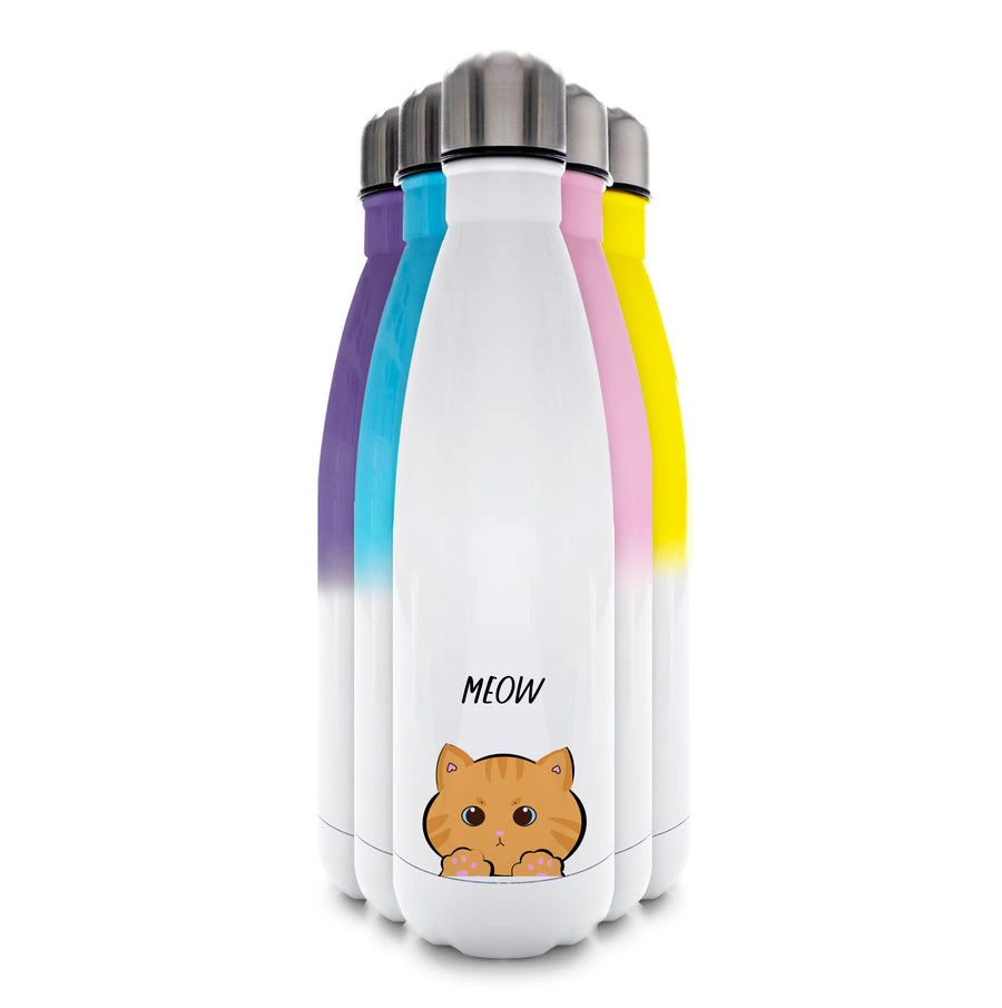 Ginger Cat - Cats Water Bottle