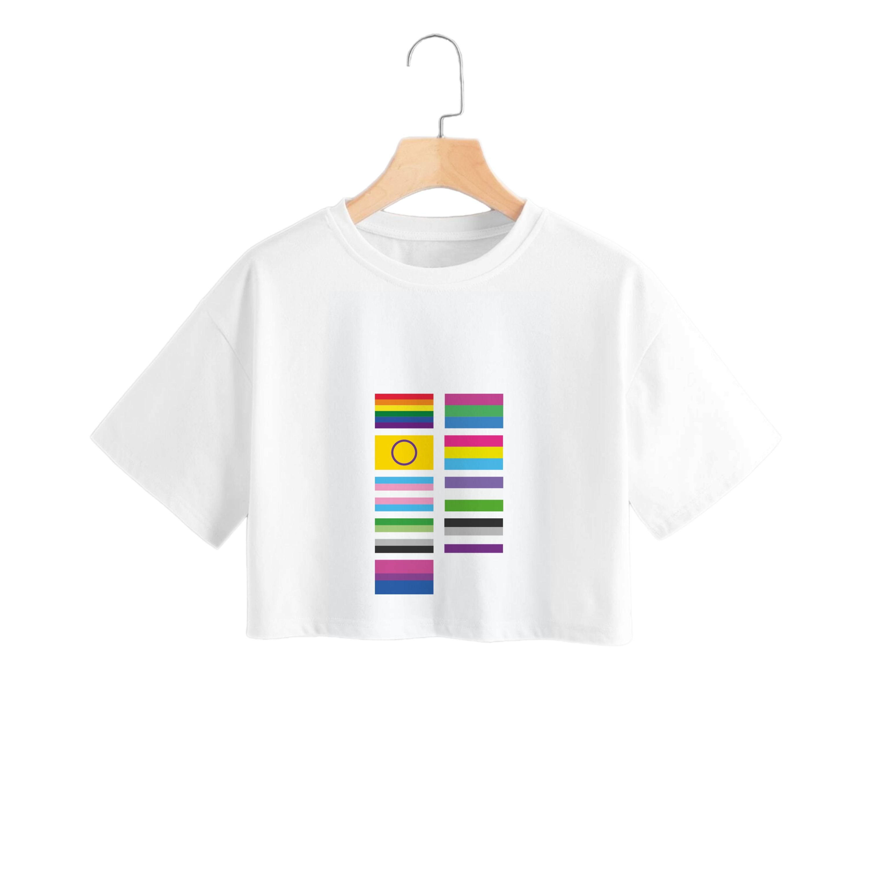 Flags - Pride Crop Top