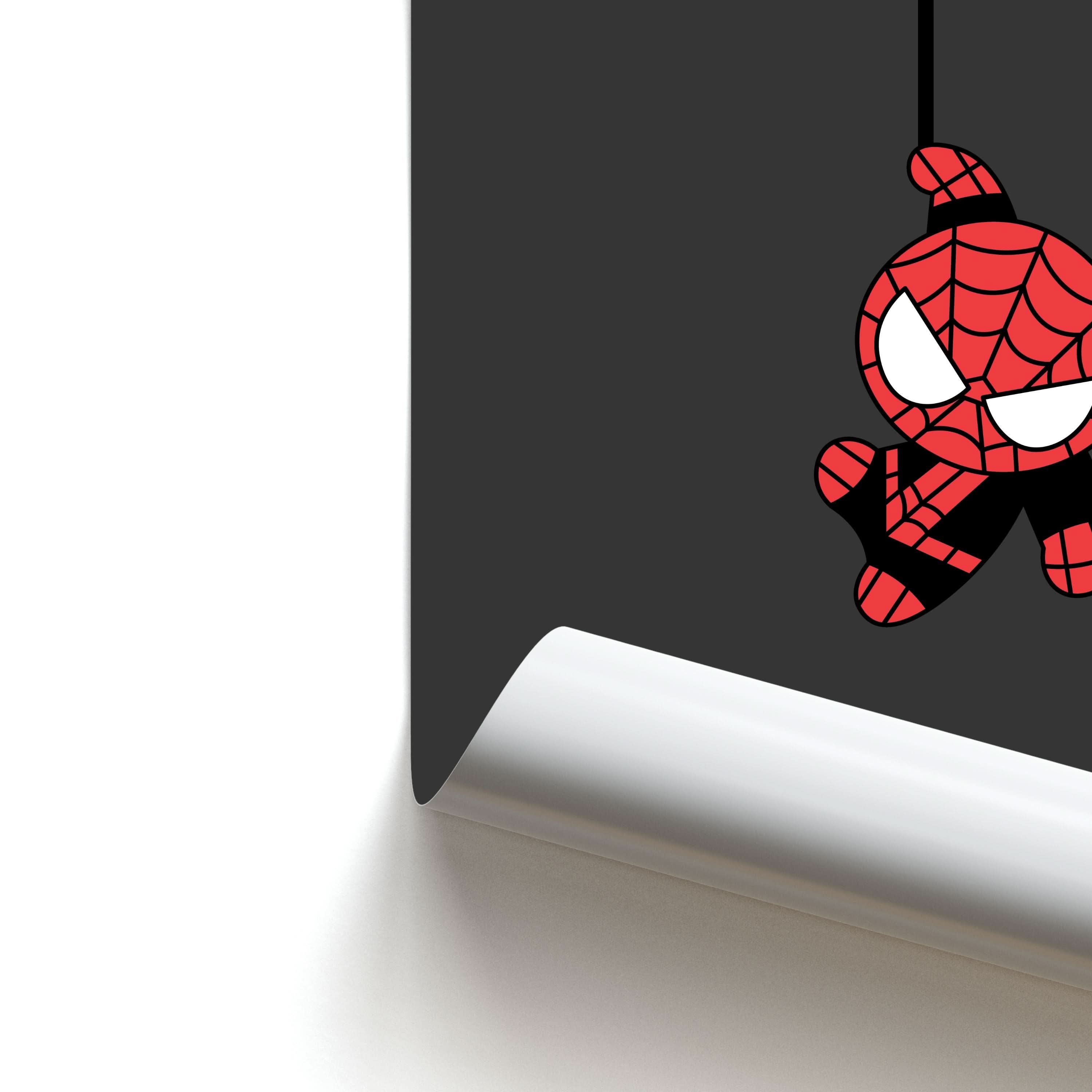 Gray Hanging Spider Hero Poster