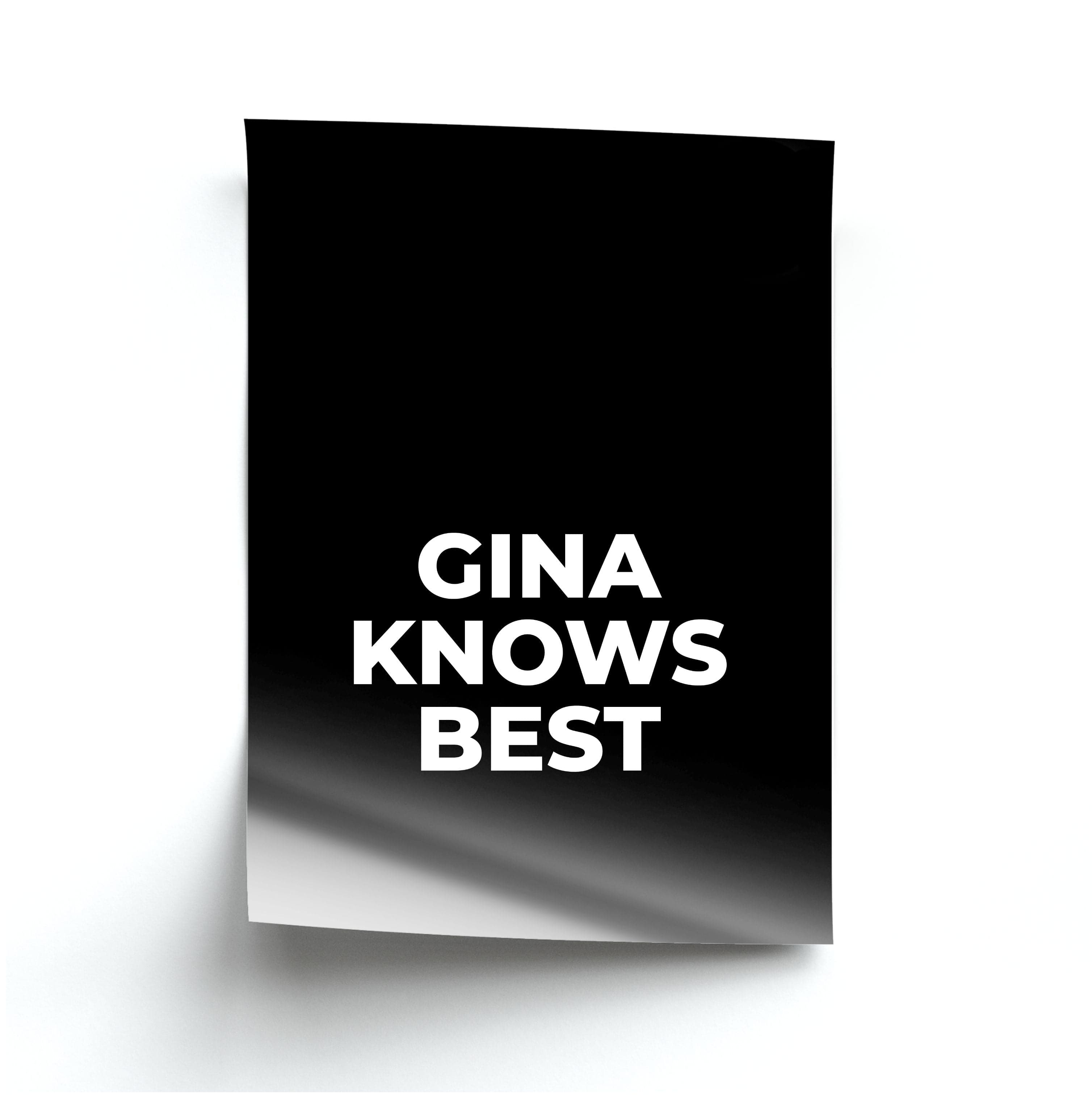 Gina Knows Best - B99 Poster