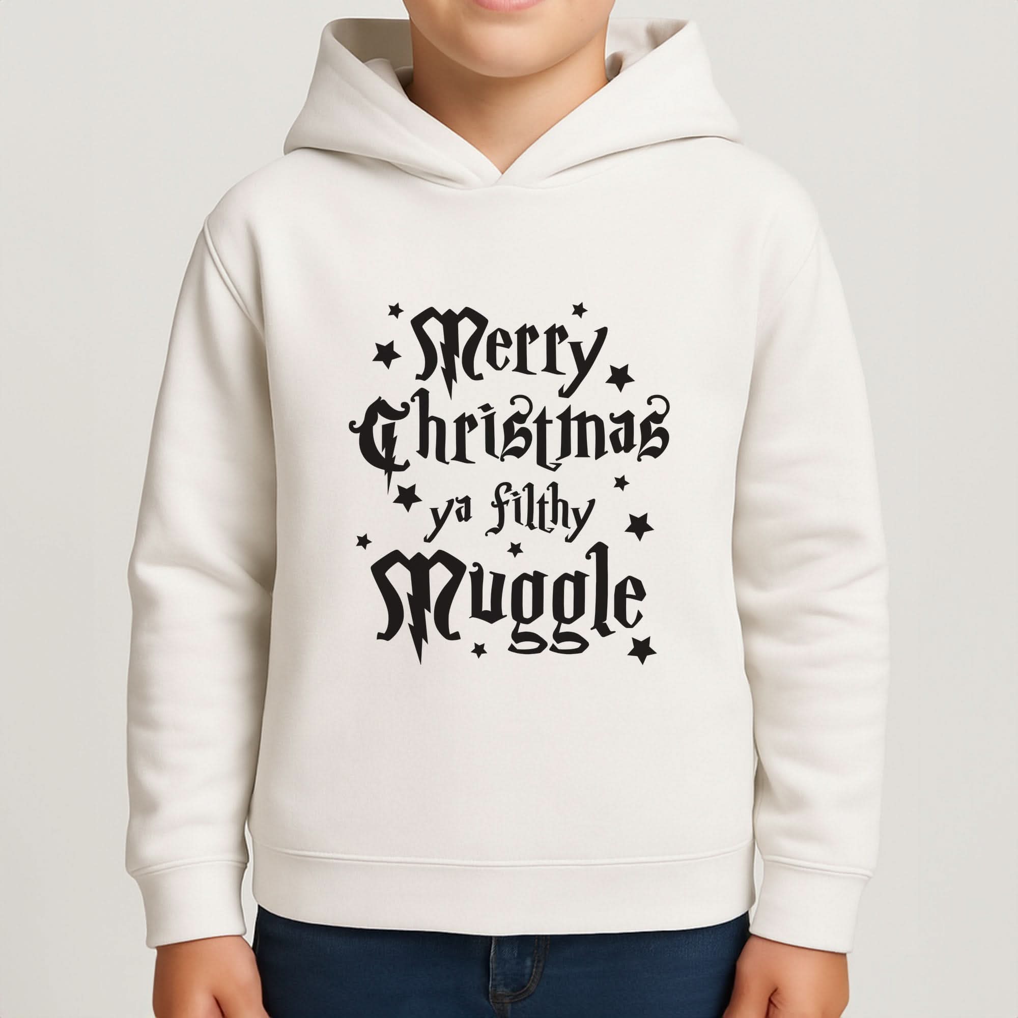 Merry Christmas You Filthy Muggle Boys Hoodie