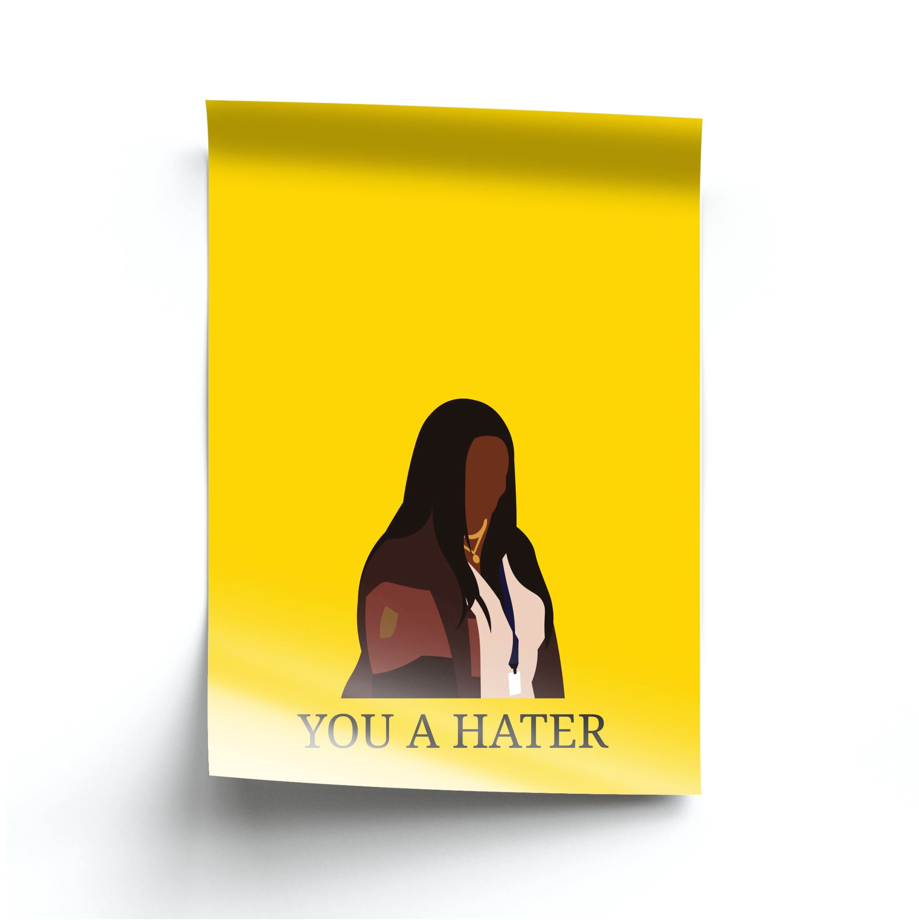 You A Hater Poster