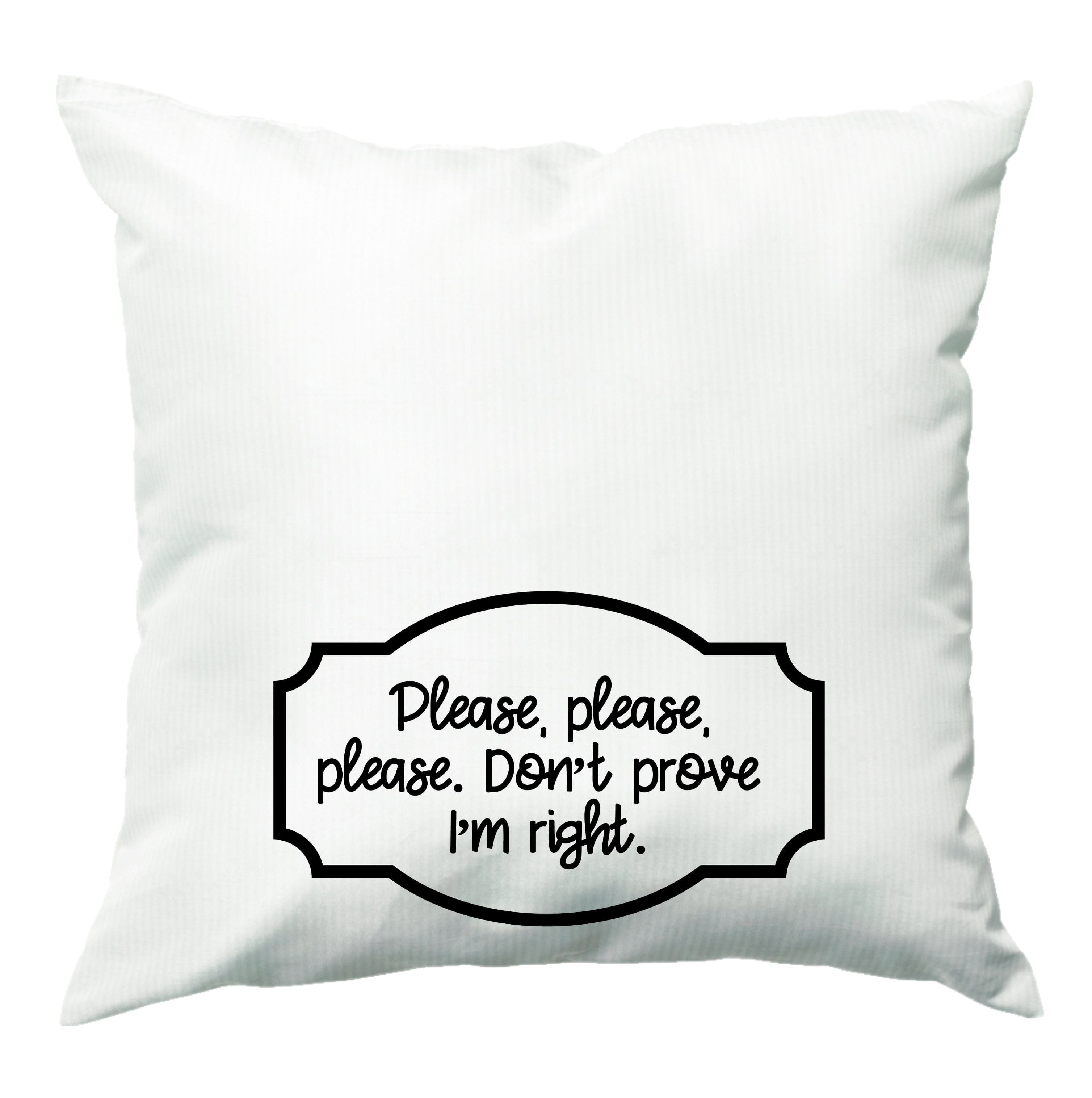 Please Don't Prove I'm Right Cushion