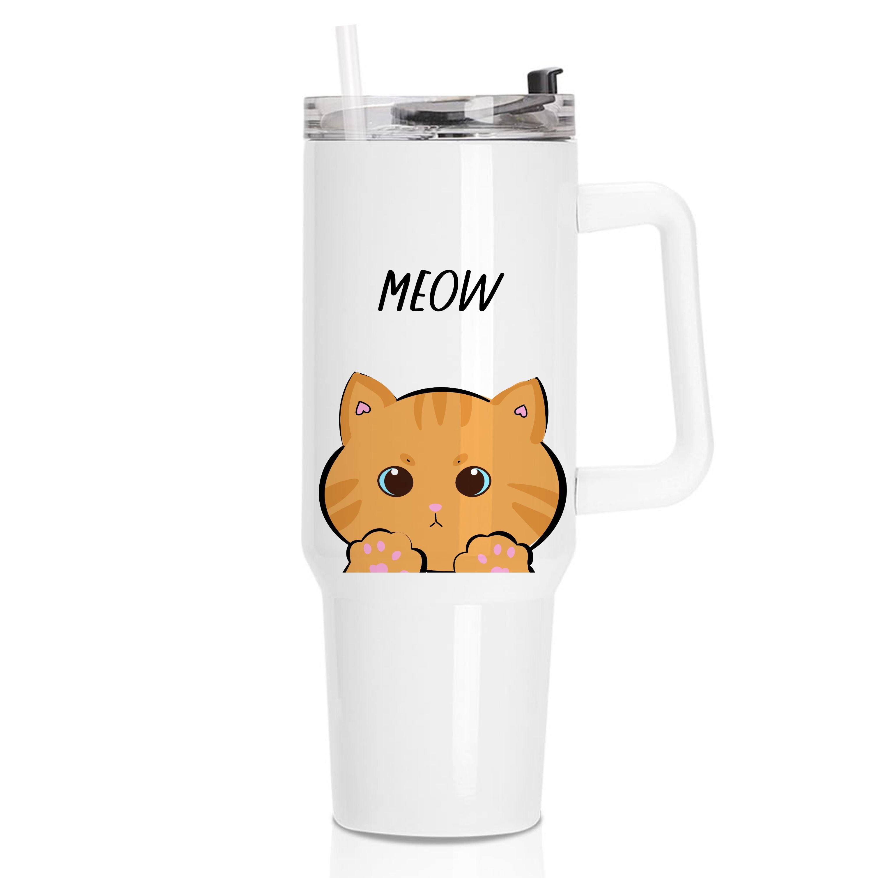 Ginger Cat - Cats Tumbler