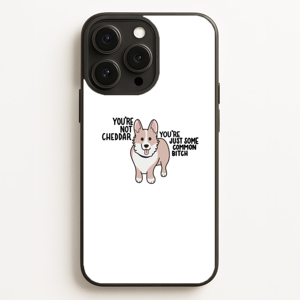 You're Not Cheddar - B99 Phone Case