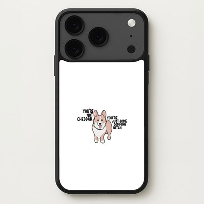 You're Not Cheddar - B99 Phone Case for iPhone 17 Pro Max