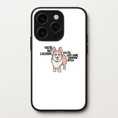 You're Not Cheddar - B99  - Brooklyn Nine-Nine Phone Case for iPhone 14 Pro