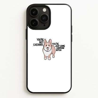 You're Not Cheddar - B99  - Brooklyn Nine-Nine Phone Case for iPhone 11 Pro