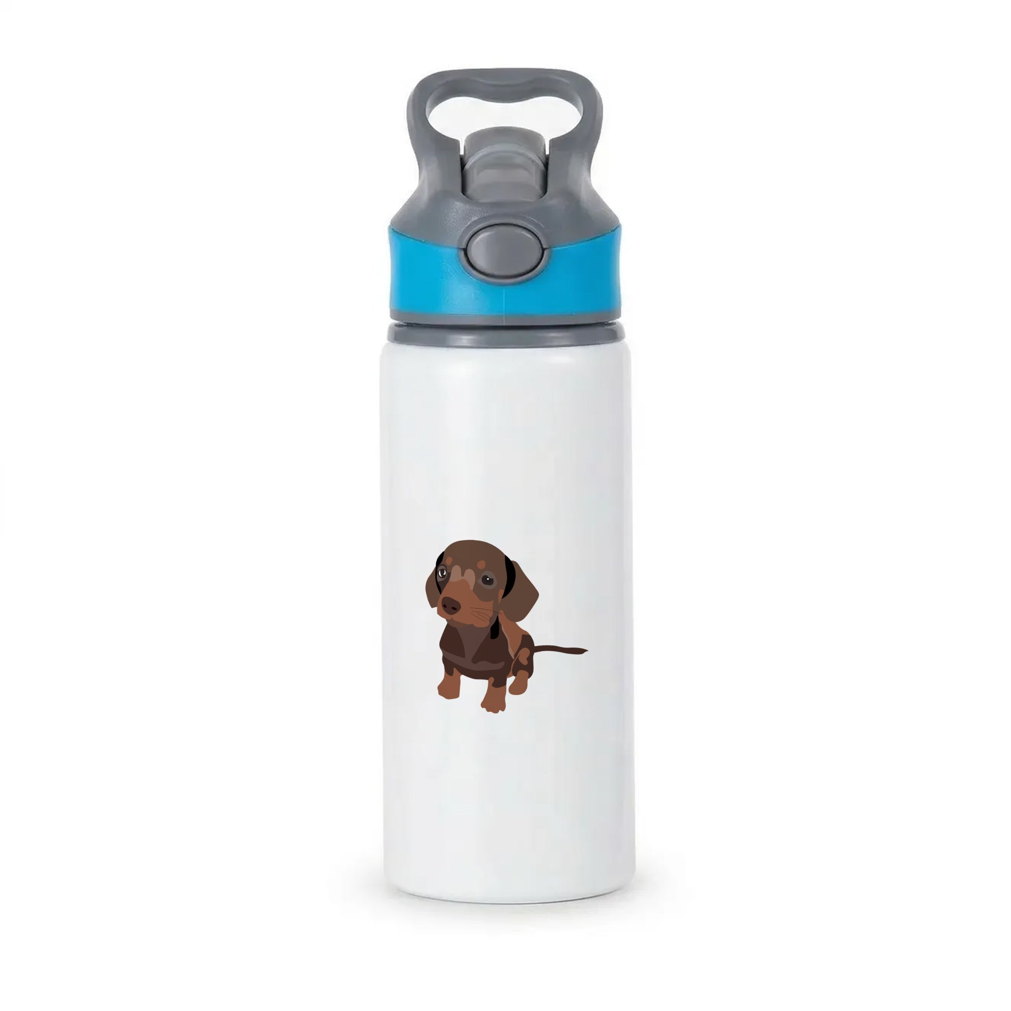 Brown - Dachshunds Active Water Bottle - Blue