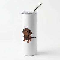 Brown - Dachshunds Skinny Tumbler