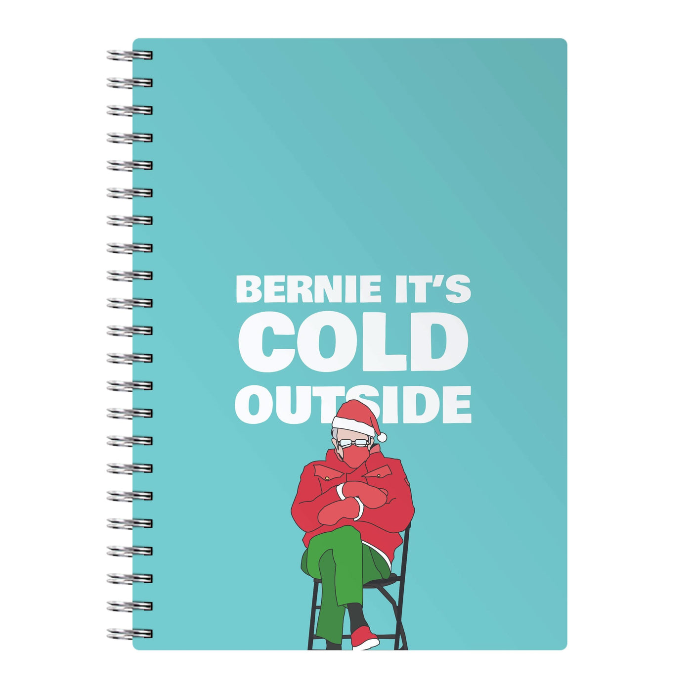 Bernie It's Cold Outside Notebook