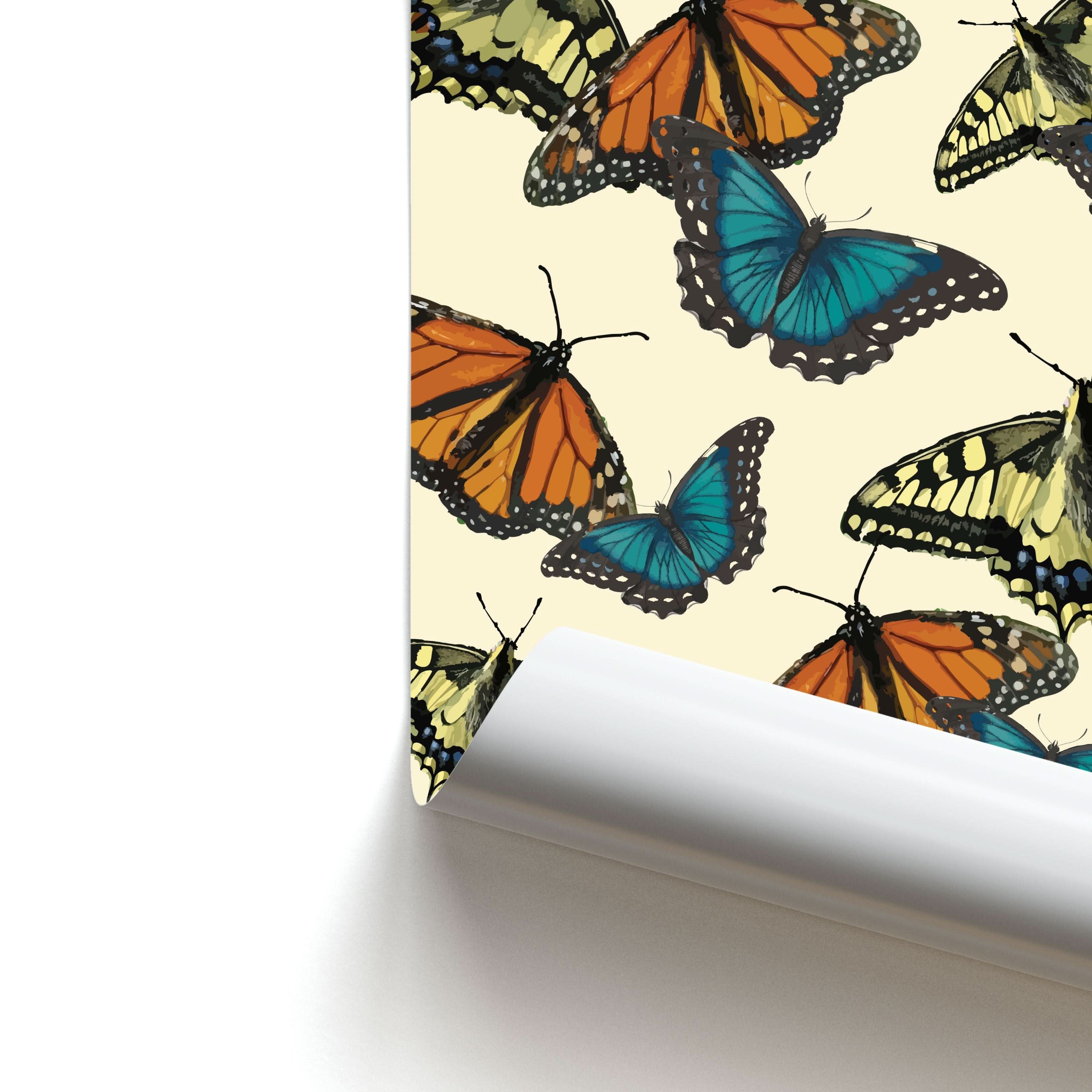 Butterfly Assortment Pattern Poster