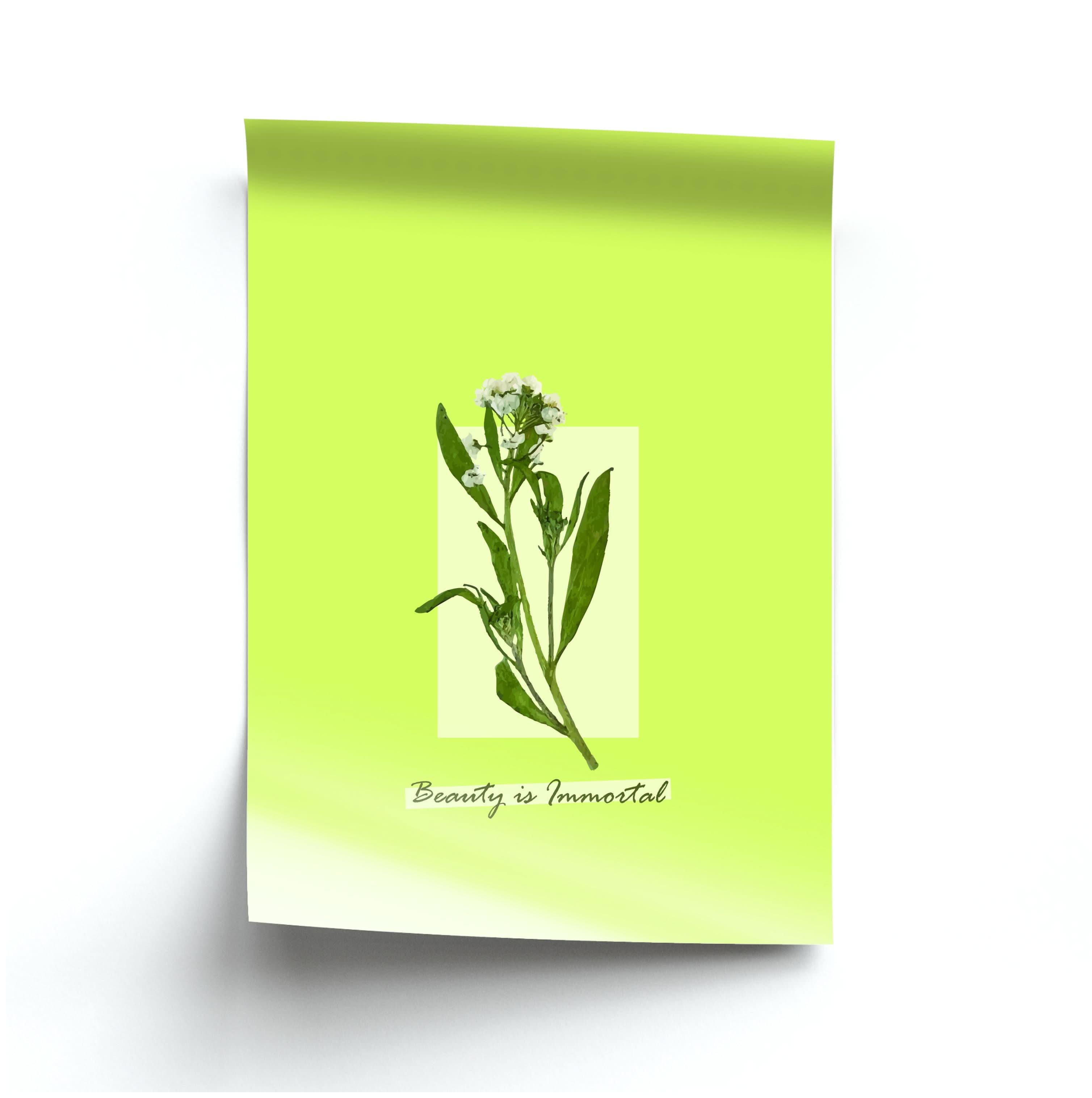 Beauty Is Immortal Press Flower Poster