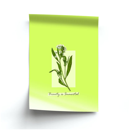 Beauty Is Immortal Press Flower Poster