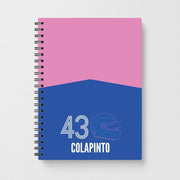 Colapinto Helmet 2026 Notebook 1