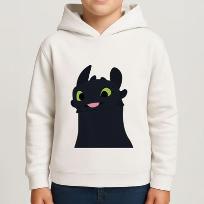 Black Fury Dragon Boys Hoodie