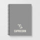 AstrologyNotebooks