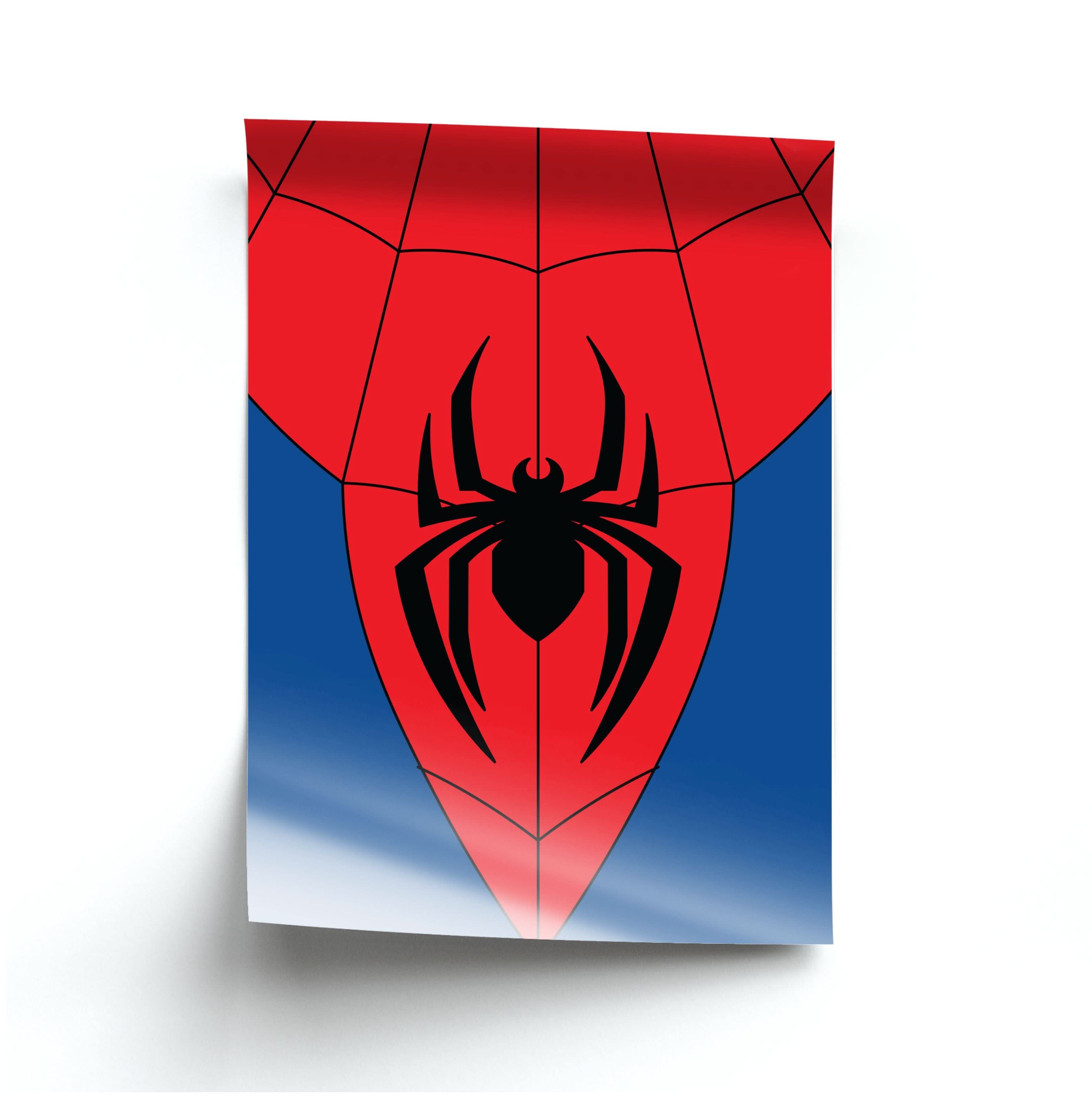 Red And Blue Spider Costume Poster