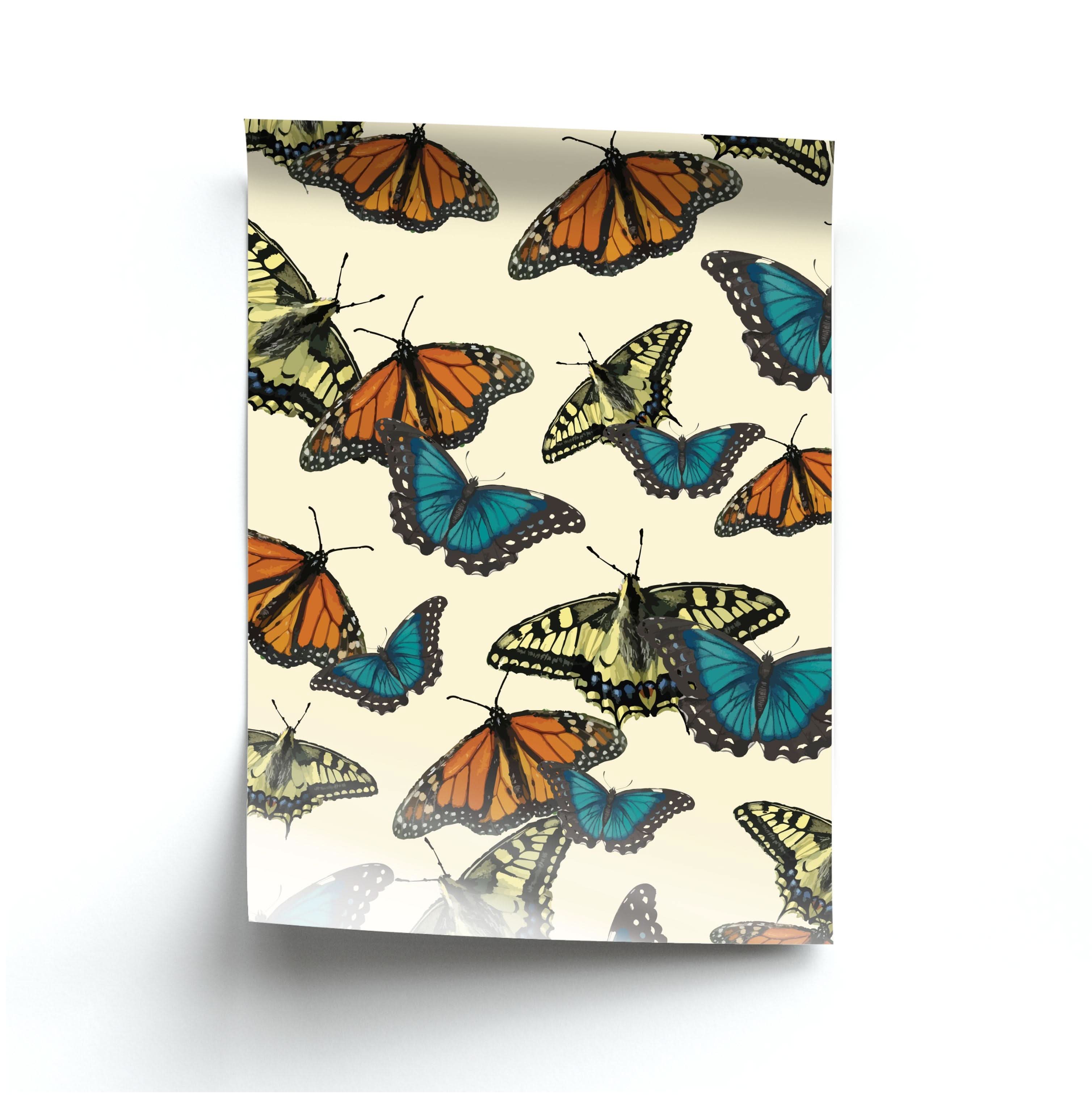 Butterfly Assortment Pattern Poster
