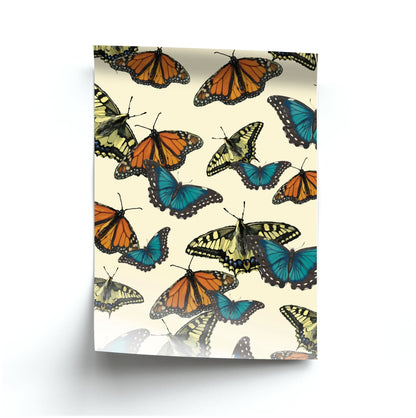 Butterfly Assortment Pattern Poster