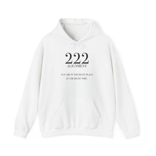 222 - Angel Numbers Hoodie White Front