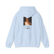 Sunshine Music Player Hoodie 10