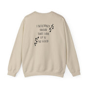 I Solemnly Swear Sweatshirt 6