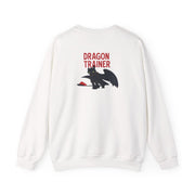 Dragon Trainer Sweatshirt 2