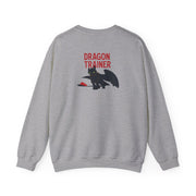 Dragon Trainer Sweatshirt 4