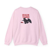 Dragon Trainer Sweatshirt 8