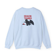 Dragon Trainer Sweatshirt 10