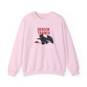 Dragon Trainer Sweatshirt 7