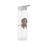 Brown - Dachshunds Clear Water Bottle 7
