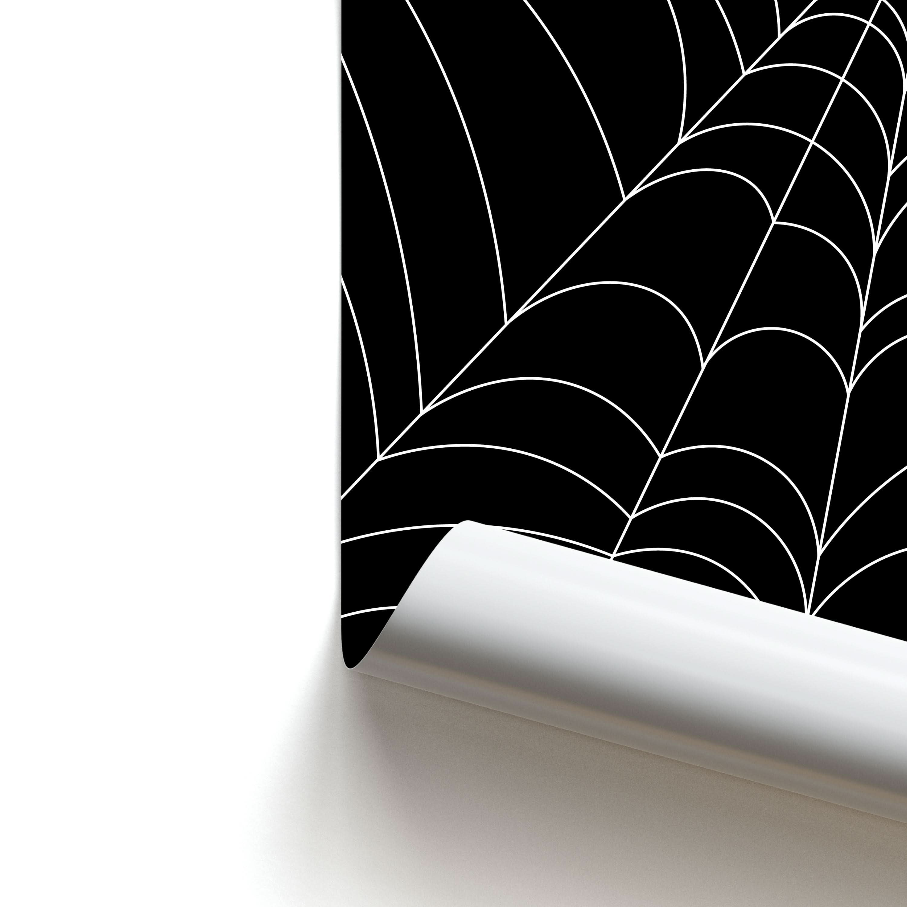 Black Cobwebs Pattern Poster